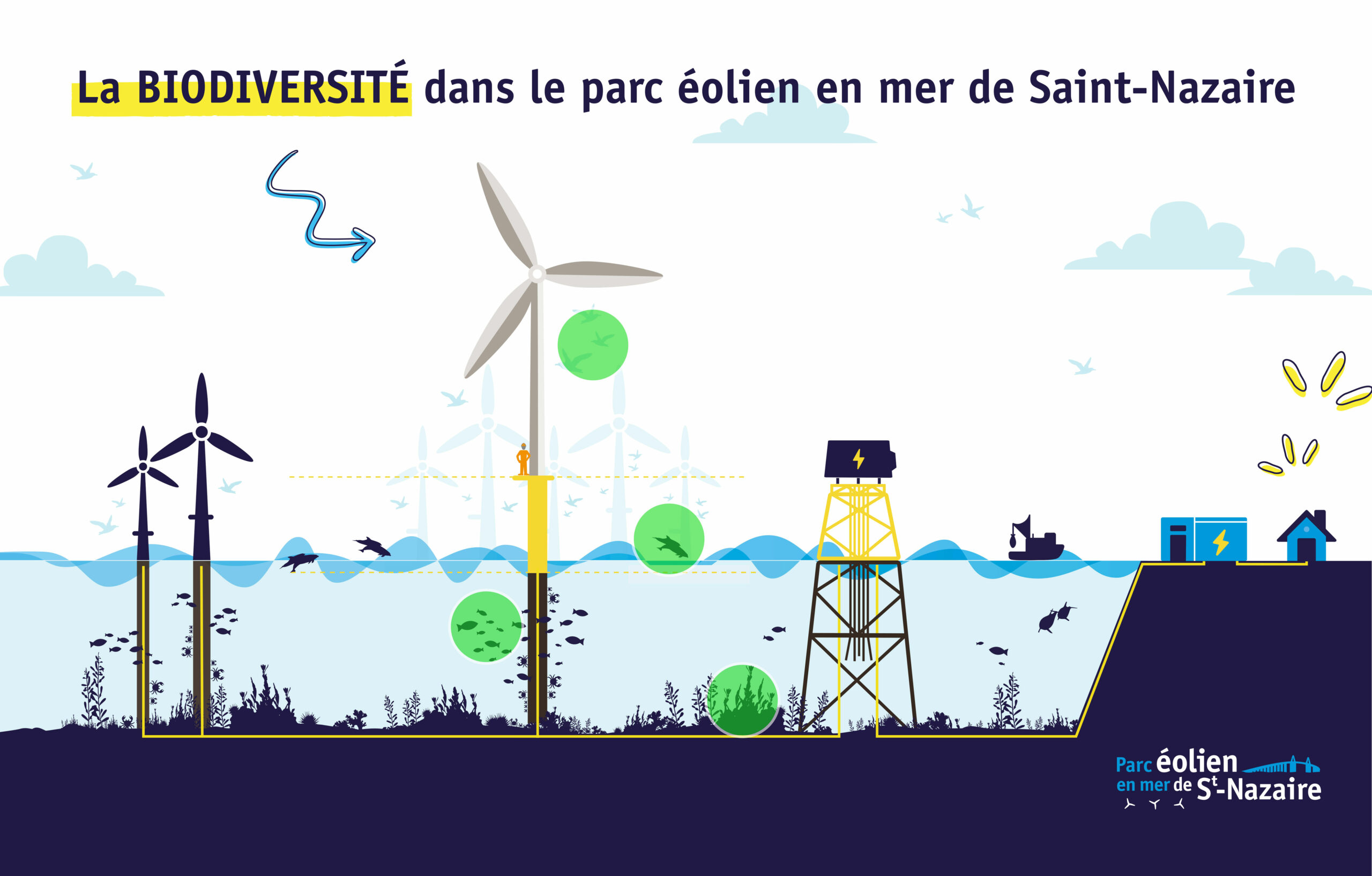 Le suivi environnemental en vidéo