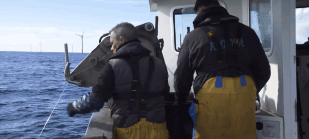 La taxe éolienne redonne la pêche au territoire !